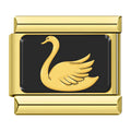 Gold and Black Swan