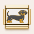 Gold Daschund Dog
