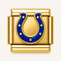 Gold Blue Horseshoe
