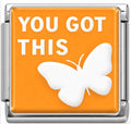 Silver with Orange You Got This