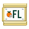 Gold Florida (FL) License Plate