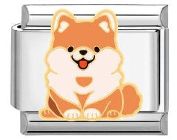 Gold Fluffy Orange Dog