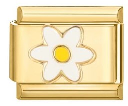 Gold White Daisy