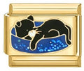Gold Black Cat on bed
