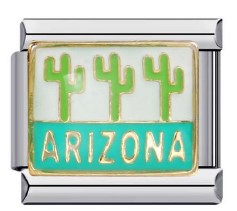 Silver Arizona Cactus