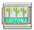 Silver Arizona Cactus