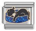 Silver Cat In Blue Bed