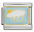 Silver Rain Cloud
