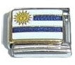 Silver Uruguay Flag