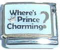 Silver Where's Prince Charming?